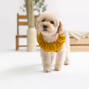 Ruffles Dress