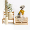 Ruffles Dress