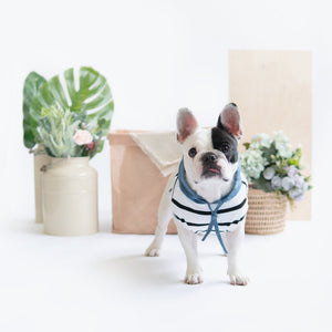 Blue Linen Striped Hoodie