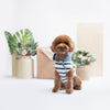 Blue Linen Striped Hoodie