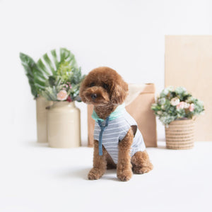 Mint Grey Striped Hoodie