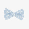 Bow Tie