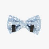 Bow Tie