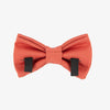 Bow Tie