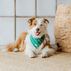 Bandana