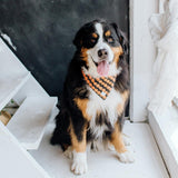 Bandana