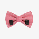 Bow Tie