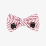 Bow Tie