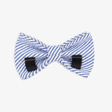 Bow Tie