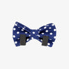 Bow Tie