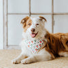 Bandana